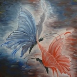 butterflies